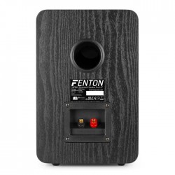 ENCEINTE FENTON LA PAIRE 100W SHFB65 - rer electronic