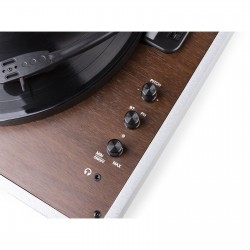 PLATINE DISQUE ALUMINIUM RP320 AUDIZIO RP320 - rer electronic