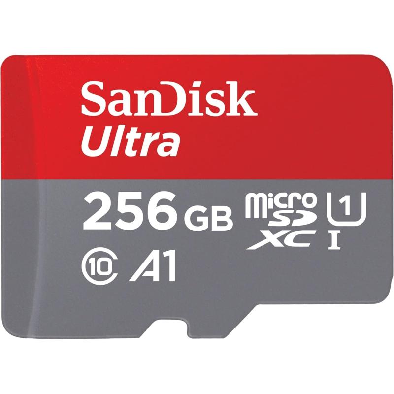 CARTE MICRO SD 256GO SANDISK A1 SAN256GB - rer electronic