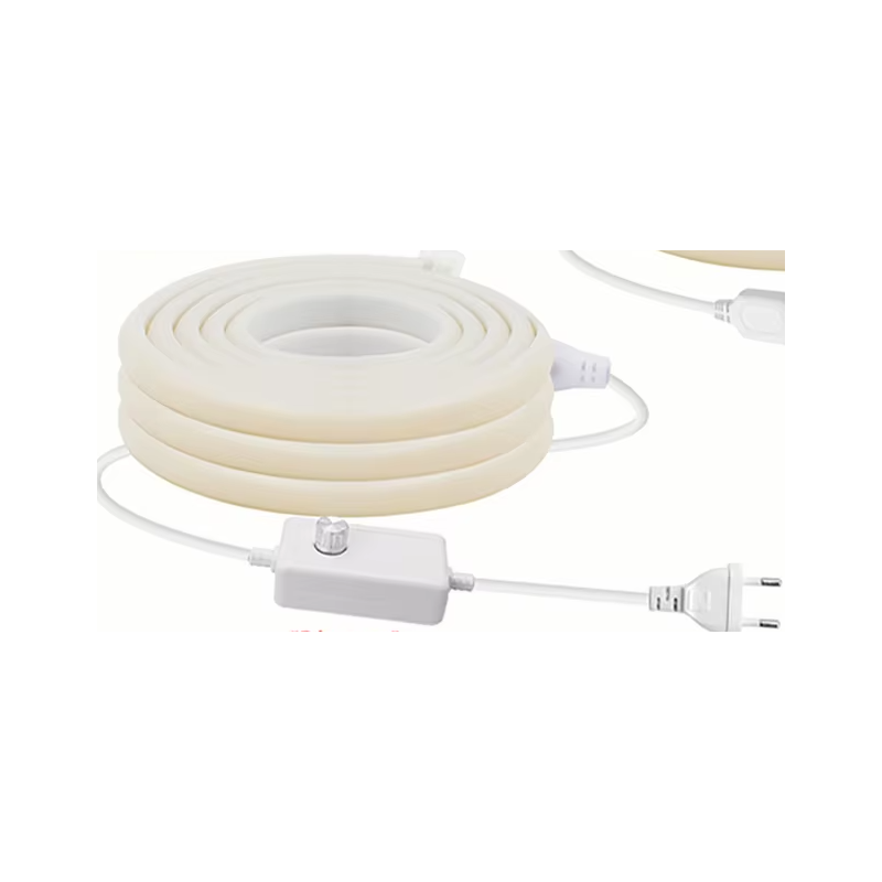 RUBAN LUMINEUX BLANC FROID 10MTS + GRADATEUR BANDELED10M - rer electronic