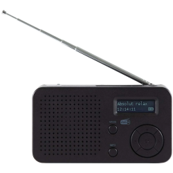 Radio portable DAB+/FM DABMAN avec Bluetooth noir DABMAN13 - rer electronic