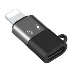 ADAPTATEUR LIGHTNING MALE VERS USB C FEMELLE ADAPT2EN1IP - rer electronic