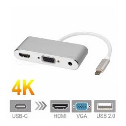 CONVERTISSEUR USB C VERS HDMI+ VGA FEMELLE HS0581 - rer electronic